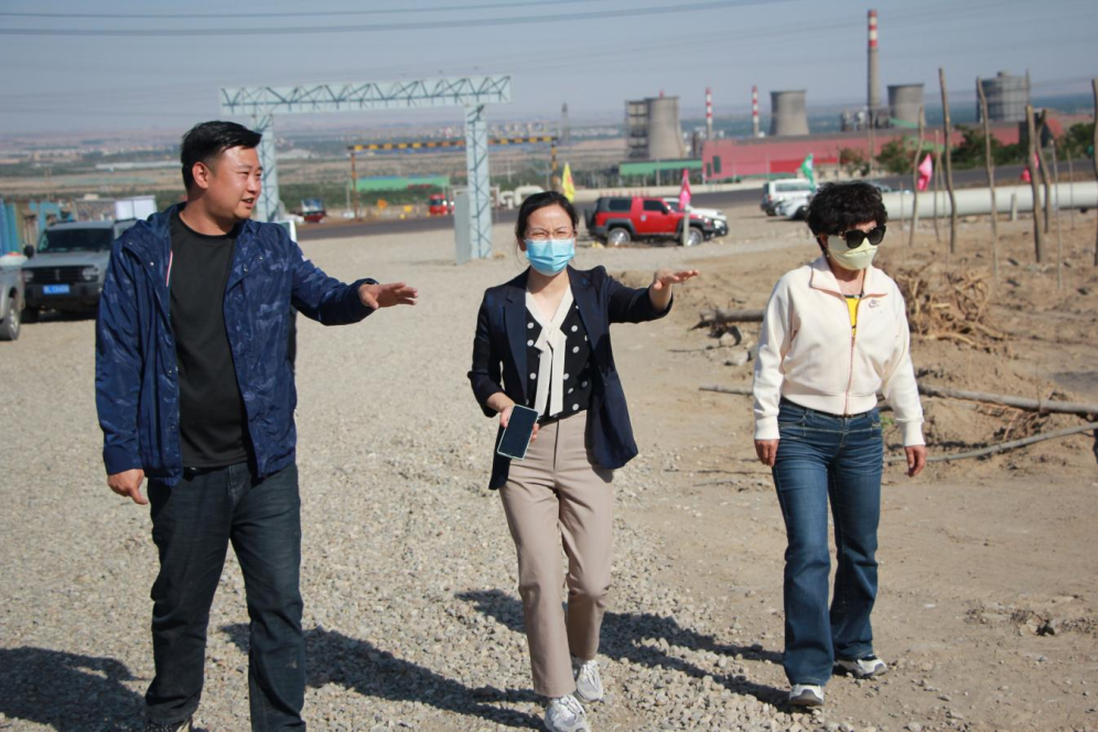 石嘴山市農(nóng)業(yè)農(nóng)村局副局長徐永霞、農(nóng)經(jīng)中心主任王曉斌一行蒞臨基地檢查指導(dǎo)