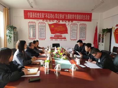寧夏岳氏黨支部召開“不忘初心，牢記使命”主題教育專題組織生活會(huì)